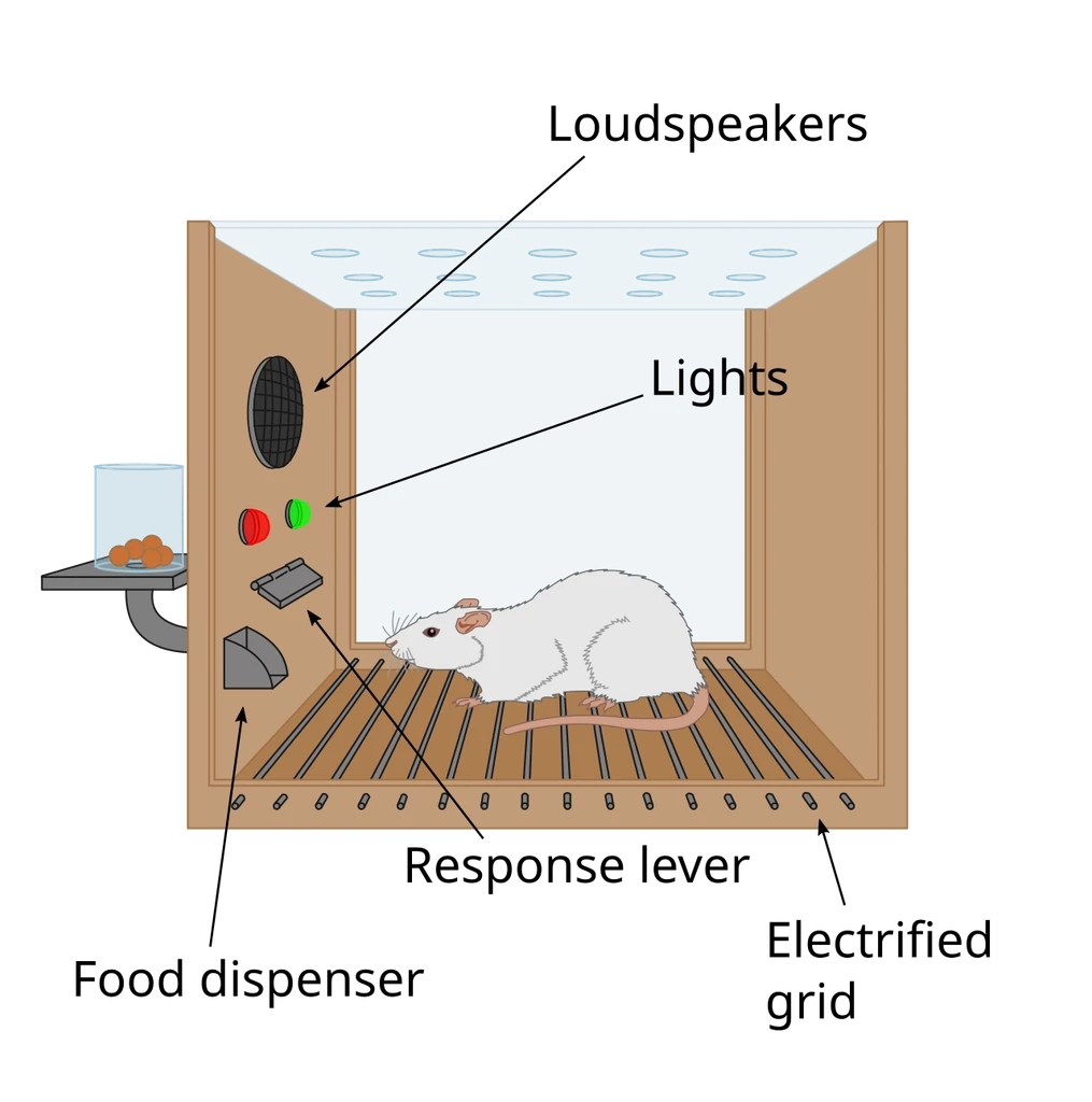Sơ đồ hộp Skinner dùng phần thưởng để điều chỉnh hành vi