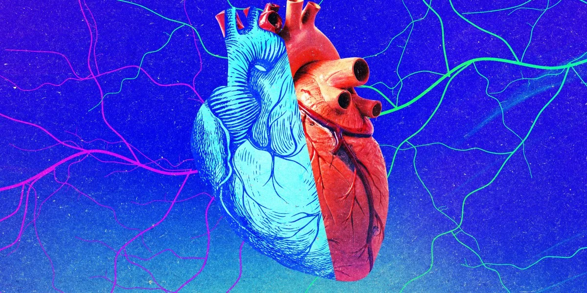 Nội tạng trẻ có thể không giúp người nhận trẻ lại